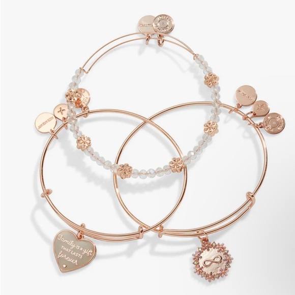 💕ALEX & ANI💕Family Is A Gift That Lasts Forever' Charm Bangle Bracelet Set/NWOT - Picture 2 of 10